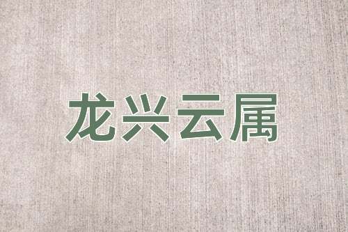 成语龙兴云属