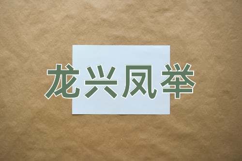成语龙兴凤举