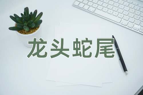 成语龙头蛇尾