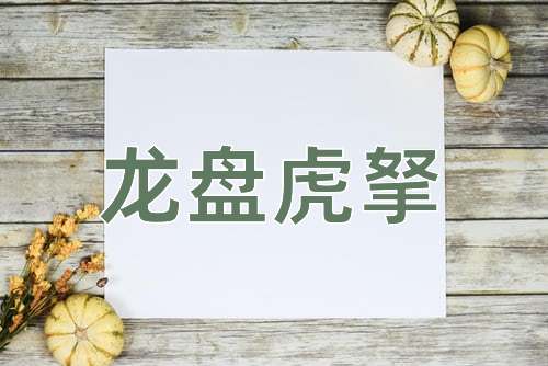 成语龙盘虎拏