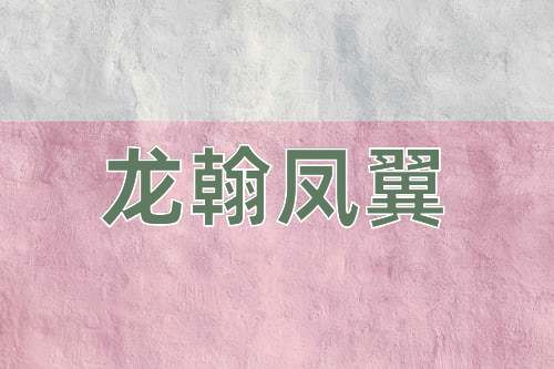 成语龙翰凤翼