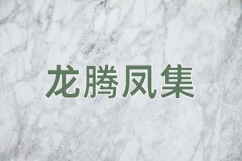 成语龙腾凤集