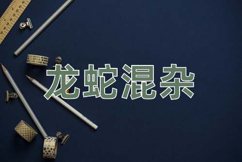 成语龙蛇混杂