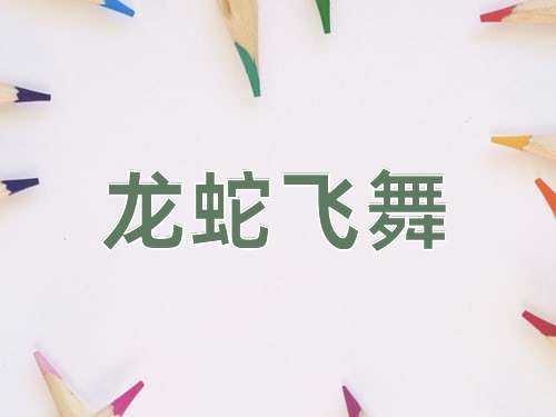 成语龙蛇飞舞
