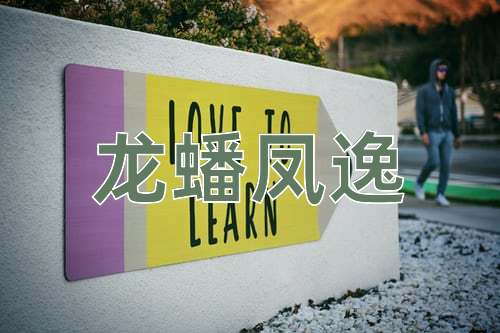成语龙蟠凤逸