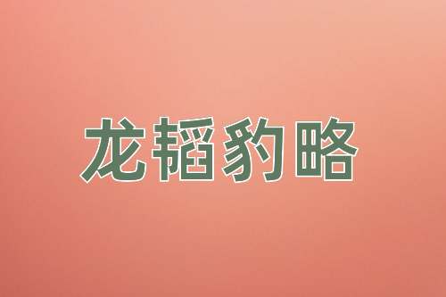 成语龙韬豹略