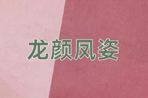 成语龙颜凤姿