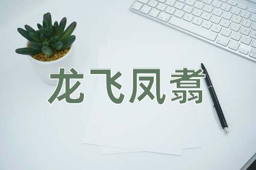 成语龙飞凤翥
