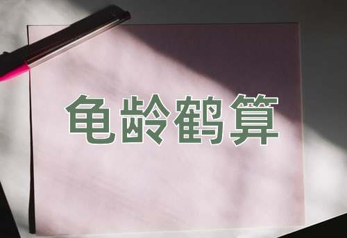 成语龟龄鹤算