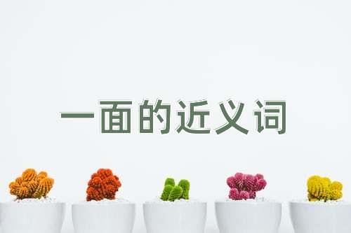 一面的近义词