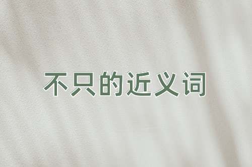 不只的近义词