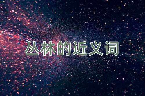 丛林的近义词