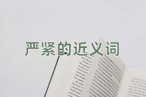 严紧的近义词