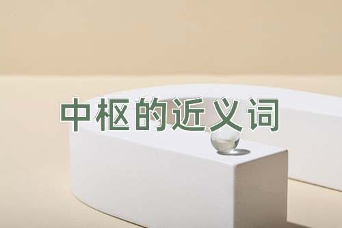 中枢的近义词
