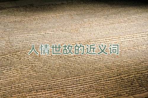 人情世故的近义词