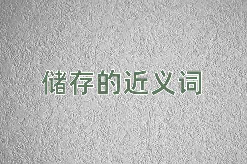储存的近义词