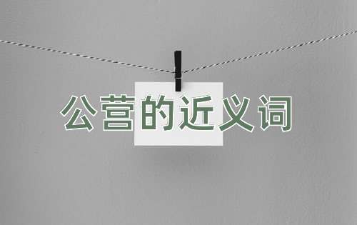 公营的近义词