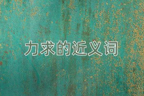 力求的近义词