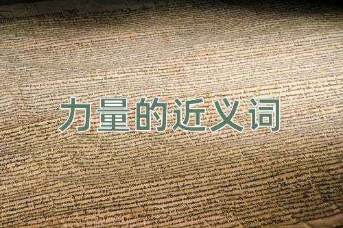 力量的近义词