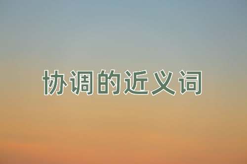 协调的近义词