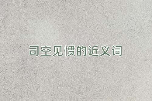 司空见惯的近义词