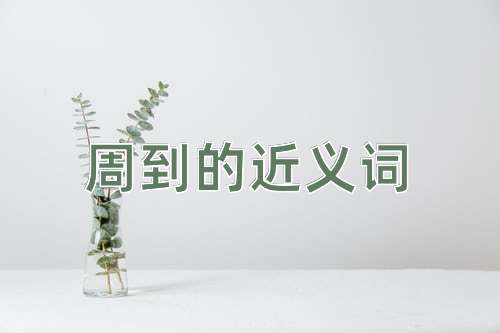 周到的近义词