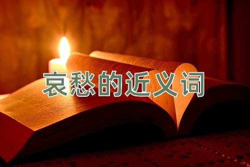 哀愁的近义词