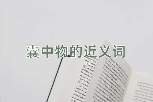 囊中物的近义词