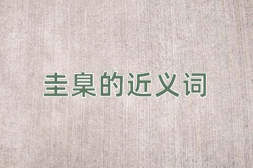圭臬的近义词