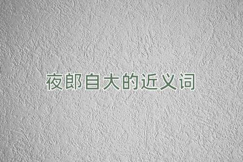 夜郎自大的近义词