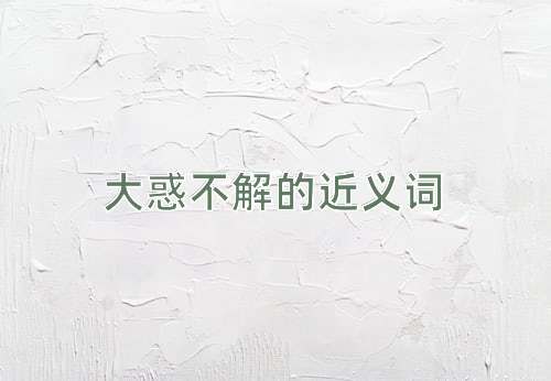 大惑不解的近义词