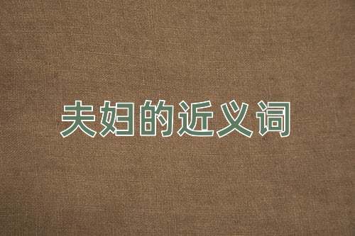 夫妇的近义词