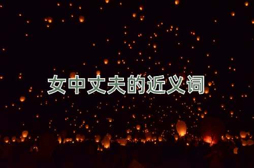 女中丈夫的近义词
