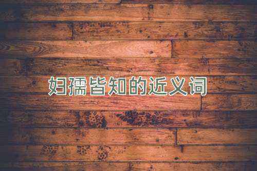妇孺皆知的近义词