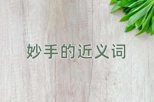 妙手的近义词