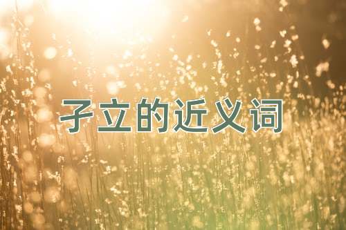 孑立的近义词