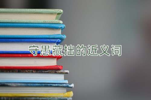 守愚藏拙的近义词