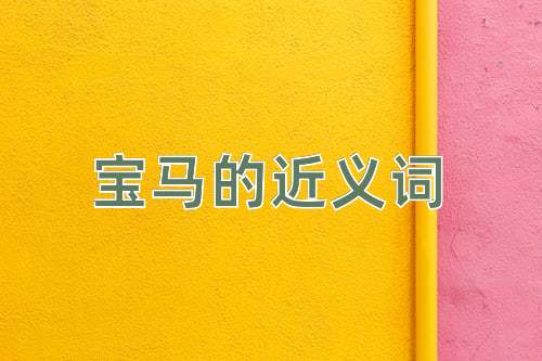 宝马的近义词