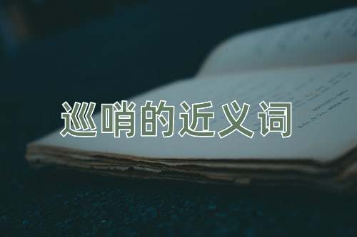 巡哨的近义词