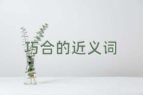 巧合的近义词