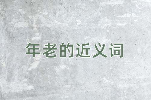 年老的近义词