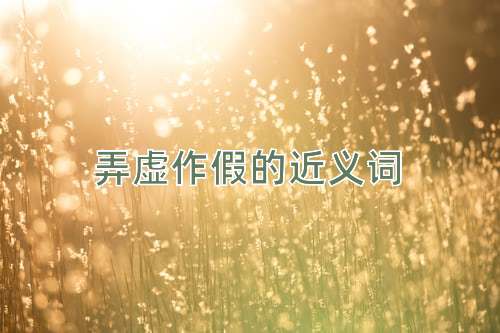 弄虚作假的近义词