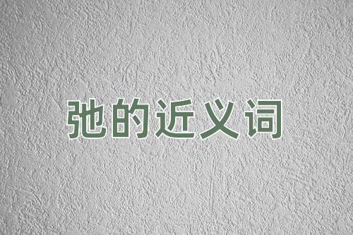 弛的近义词