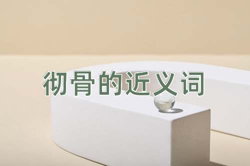 彻骨的近义词