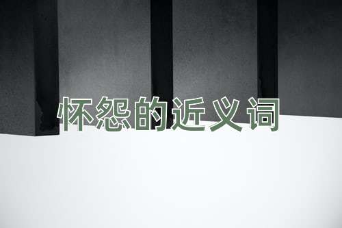 怀怨的近义词