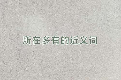 所在多有的近义词