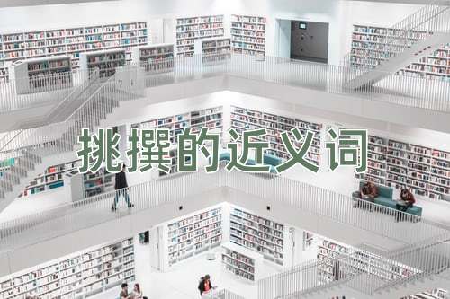 挑撰的近义词