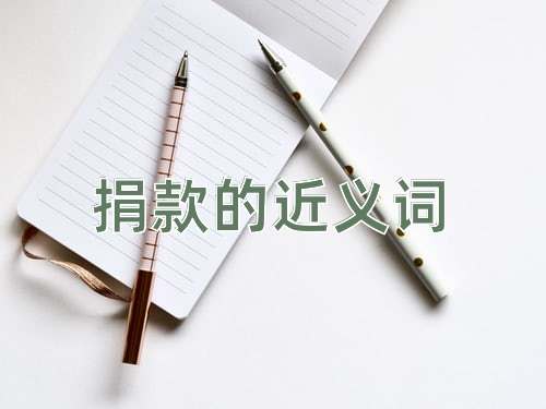 捐款的近义词
