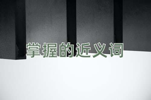 掌握的近义词