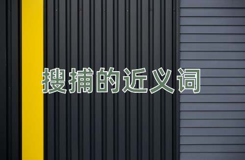 搜捕的近义词